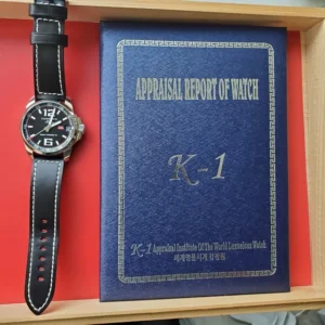 Homme Chopard Mille Miglia Gran Turismo Xl 8997 44M Auto Menthe Très Propre