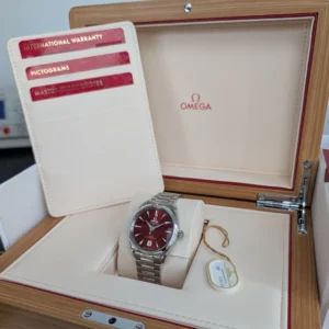 Montre homme OMEGA Seamaster Terracotta 220.10.38.20.13.003, état impeccable, ensemble complet