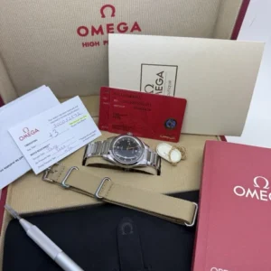 Montre automatique Omega Seamaster Railmaster 1957 Trilogy en acier 220.10.38.20.01.002 B+P